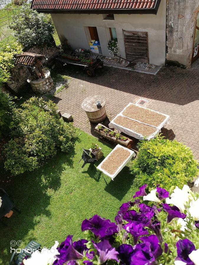 Agriturismo Antica Pieve Limana Exterior foto